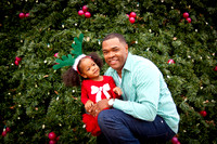 20131221-johnson13christmas_186-048